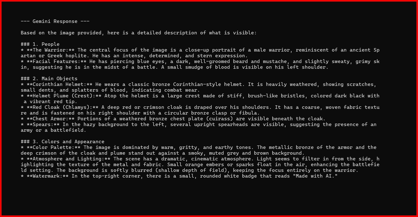 Picture showing the explanation given by gemini for the spartan image